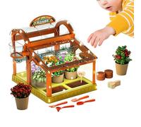 Kit per la coltivazione di piante, fiori, per bambini, con di