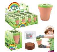 Kit per la coltivazione di semi per bambini,Scatola da giardinaggio per semi - Mini Fiori E Verdure Osservazione Fai Da Te Fiori In Vaso, Scienza 'asilo E Regalo Di Prima Educazione
