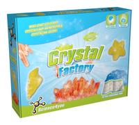 Kit per la fabbrica di cristalli Science4You