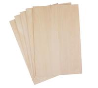 Kit per La Realizzazione di Modelli di Aeroplani RC Fai-da-te in Fogli di Tiglio