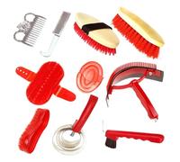 Kit per la toelettatura dei, 10 pezzi, con setole morbide, set di spazzole in legno resistente, con manico comodo, kit per la toelettatura per la famiglia e l'uso all'aperto