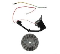 Kit per motosega a catena, volano e kit di accensione per sega a mano singola da 30,5 cm, kit di accessori per motosega 2500 25 CC, argento e nero