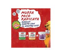 KIT Per Muffa Poco Radicata Tecnostuk Con Pittura Cromika Bianca 2,5 L