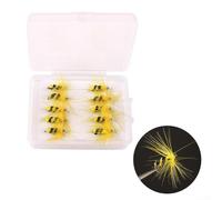 Kit per pesca a mosca, 10 pezzi, include mosche ninfe per pesca alla trota in diversi ecosistemi d'acqua dolce, dalle sorgenti alle acque posteriori (sezione A)