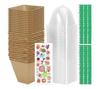 Kit Per Piantare Bambini - Kit Da Giardino Per Bambini | Giocattoli Artigianali Naturali, Pacchetto Di Attività Educative Pratiche Per L'apprendimento Botanico, Raccolta Completa Di Programmi Creativi