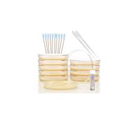 Kit per progetti scientifici di microbiologia Evviva Sciences Piastre di agar pre-colate per studenti Piastre di Petri in agar per imparare la mi