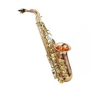 kit per sassofono Sassofono Mi Bemolle Contralto Strumento Da Performance Master Bronzo Fosforoso Doppio Colore Configurazione A Doppia Costola