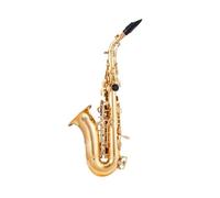 kit per sassofono Sassofono Sib Treble Ottone Placcato Oro E Nichel Nero Collo Curvo B-Flat Sax Saxophone Strumento Musicale (Color : Gold Sax)