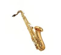 kit per sassofono Sassofono Tenore In Si Bemolle Che Suona Uno Strumento A Fiato Portatile Per Principianti