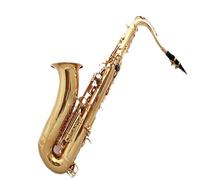 kit per sassofono Sassofono Tenore Piatto Livello Professionale B Ottone Laccato Oro Bocchino Per Sax Patch Pad Ance Collo Piegato