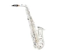 kit per sassofono Strumento A Fiato Per Sassofono Contralto In Mi Bemolle Per Principianti E Prestazioni Professionali, Tutto Argento