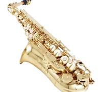 kit per sassofono Un Sassofono Contralto In Mi Bemolle Oro Strumento A Fiato Professionale Per Sassofono