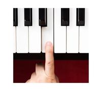 Kit per tastiera pianoforte 2Pcs White Piano Keytops Material Replacing Key Tops Long Service Life Repairing Gadgets For Keyboard Instrument