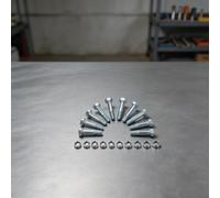 Kit perno taglio spazzaneve 10 pezzi per modelli per for craftsman 9 5TP e 11