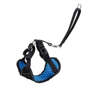 Kit pettorina per trasporto cani in auto Record