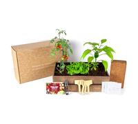Kit Piante Vintage Coltivazione di Verdure (Lattuga, Ravanello, Peperone Verde e Pomodori Ciliegini) - Semi Organici dalla Spagna - Kit Piante Regalo Completo per Coltivare Verduri Freschi a Casa