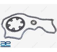 Kit Pignone Catena Per Royal Enfield New Classic Reborn 350 E Meteor 350
