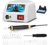 Kit Pirografo per Legno 60W,Macchina per Pirografo Professionale Con Temperatura