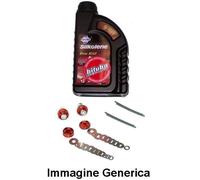 kit pistoni e lamelle per forcelle OEM HONDA RS 125 GP 04-10 KFORK049 BITUBO