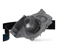Kit Pompa Acqua Dayco Principale per Citroen Ford Peugeot Lancia Fiat KTBWP4550