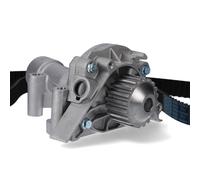 Kit Pompa Acqua Dayco Principale per Peugeot Citroen Fiat Lancia KTBWP3442