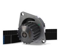 DAYCO KTBWP3350 Kit cinghia distribuzione, pompa acqua