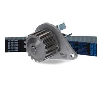 Kit Pompa Acqua Dayco Principale per Veicoli Auto/LCV Peugeot Citroen KTBWP4950