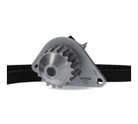 Kit Pompa Acqua Dayco Principale per Veicoli Peugeot Citroen Fiat KTBWP3361
