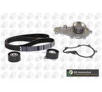 Kit Pompa Acqua Distribuzione Timing Water Pump Insieme INA Per CITROEN