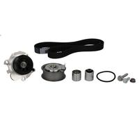 Kit pompa acqua e cinghia di distribuzione BOSCH 1 987 946 482 per TT 2 2006-201