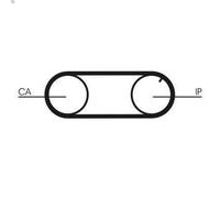Kit pompa acqua e cinghia di distribuzione CONTITECH per 780 (782) 2.4 1986-1990
