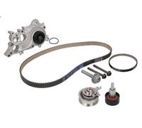 Kit pompa acqua e cinghia di distribuzione DAYCO KTBWP8191 per A1 1 2016-2018