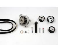 Kit pompa acqua e cinghia di distribuzione HEPU PK05360 per A6 C4 2.5 1995-1997