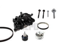 Kit pompa acqua e cinghia di distribuzione HEPU PK0675 per CITIGO (NF1) 1 2011-