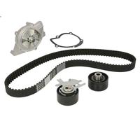 Kit distribuzione + pompa acqua Pompa acqua PK08010 HEPU per PEUGEOT FORD FIAT