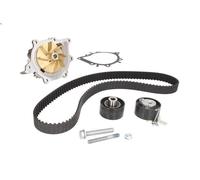 Kit pompa acqua e cinghia di distribuzione HEPU PK08070 C6 (TD_) 2.2 2006-2012