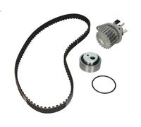 Kit pompa acqua e cinghia di distribuzione HEPU PK08130 per AX (ZA-_) 1 1986-