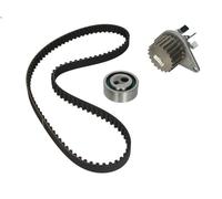 Kit pompa acqua e cinghia di distribuzione HEPU PK08131 per ZX (N2) 1.4 1991-
