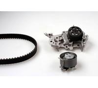 Kit pompa acqua e cinghia di distribuzione HEPU PK09540S per SANDERO 1 2011-2012