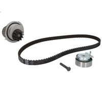 Kit pompa acqua e cinghia di distribuzione INA 530 0004 32 per CIELO 1.5 1995-