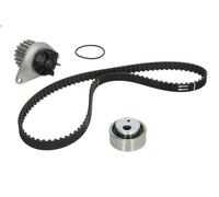 Kit pompa acqua e cinghia di distribuzione INA 530 0012 30 per AX (ZA-_) 1 1986-