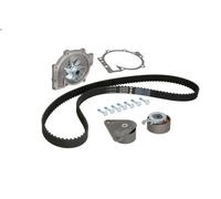 Kit pompa acqua e cinghia di distribuzione INA 530 0063 30 per S70 2 1997-2000