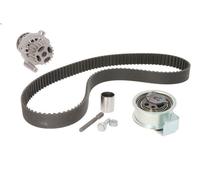 Kit pompa acqua e cinghia di distribuzione INA 530 0091 30 per A2 1.4 2000-2005