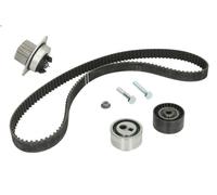 Kit pompa acqua e cinghia di distribuzione INA 530 0119 3 per AX 1.5 1994-1997