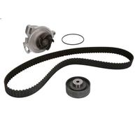 Kit pompa acqua e cinghia di distribuzione INA 530 0153 30 per A6 C4 2.5 1995-