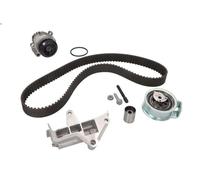 Kit pompa acqua e cinghia di distribuzione INA 530 0177 30 per SHARAN 1.9 1995-