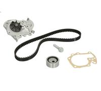 Kit pompa acqua e cinghia di distribuzione INA 530 0191 31 per LOGAN 1.4 2006-