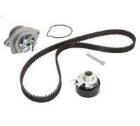 Kit pompa acqua e cinghia di distribuzione INA 530 0199 30 per POLO 1 1999-2001