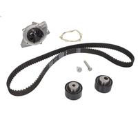 Kit pompa acqua e cinghia di distribuzione INA 530 0234 30 per 607 2.2 2000-2006