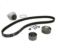 Kit pompa acqua e cinghia di distribuzione INA 530 0237 30 per 307 1.6 2000-2007